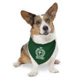 RC Bandana Collar