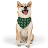 RC Bandana Collar