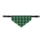 RC Bandana Collar