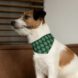 RC Bandana Collar