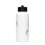 Stainless Steel Water Bottle with a Straw Lid