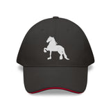 Friesian Collection • Sandwich Brim Hat - Caitlin Apparel